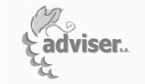 Adviser
